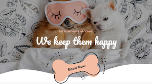 House of Fluff